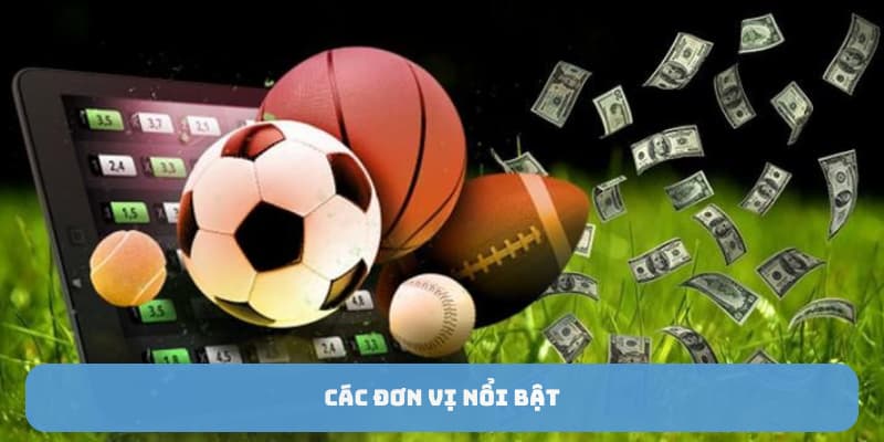 Các đơn vị nổi bật